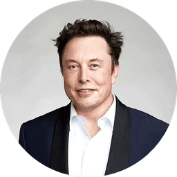 Elon Musk avatar